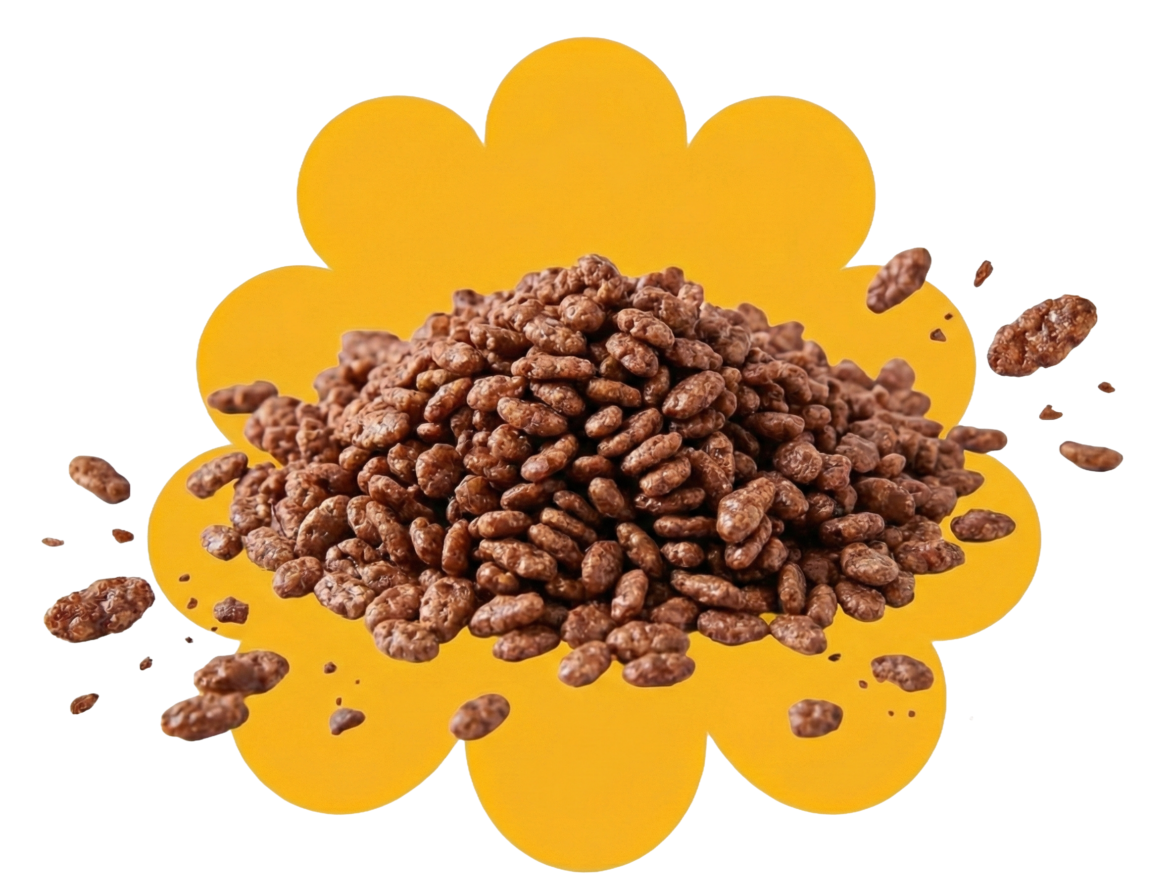 Cerealitos del Marqués